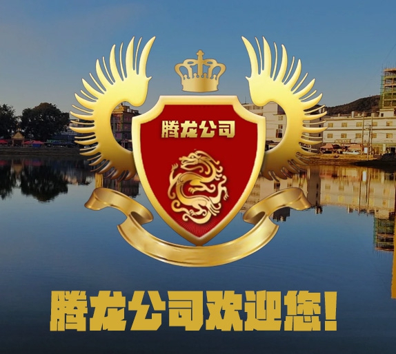 腾龙游戏公司办公环境